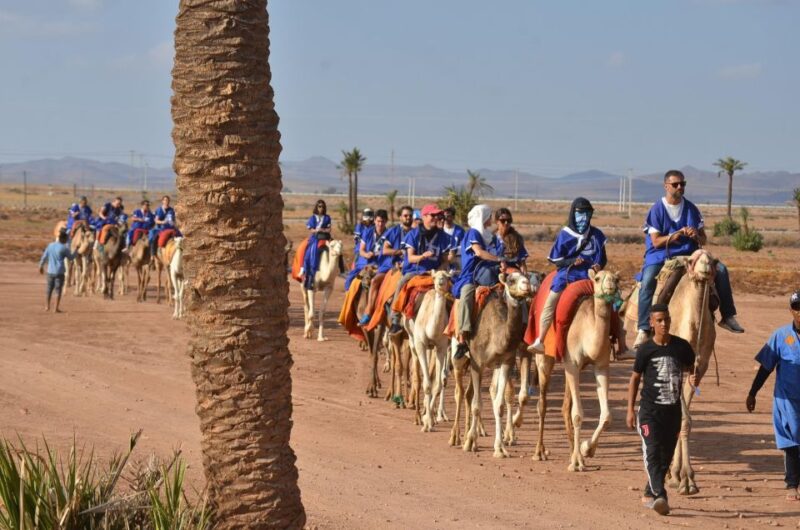 Marrakech: Tour Quad Bike and Camel in Marrakech Palmeraie. - Explore Marrakech Palm Oasis