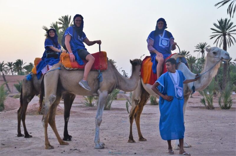 Marrakech: Tour Quad Bike and Camel in Marrakech Palmeraie. - Booking and Cancellation