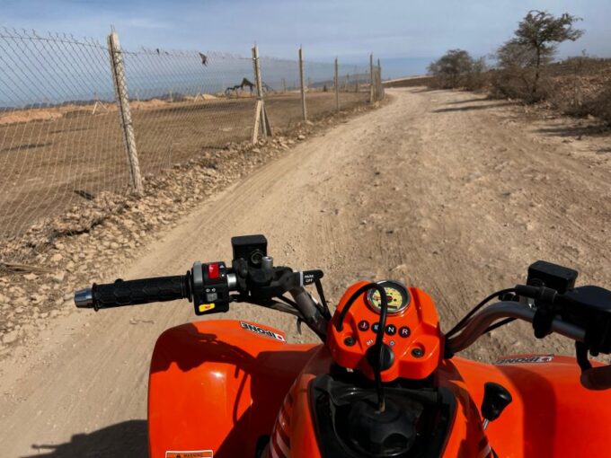 Marrakech Tour: Quad Bike, Lunch in Palm Grove, Hammam & SPA - Frequently Asked Questions