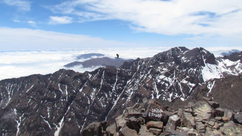 MARRAKECH: Trekking Adventure in to the Atlas Mountains - Health and Safety Restrictions