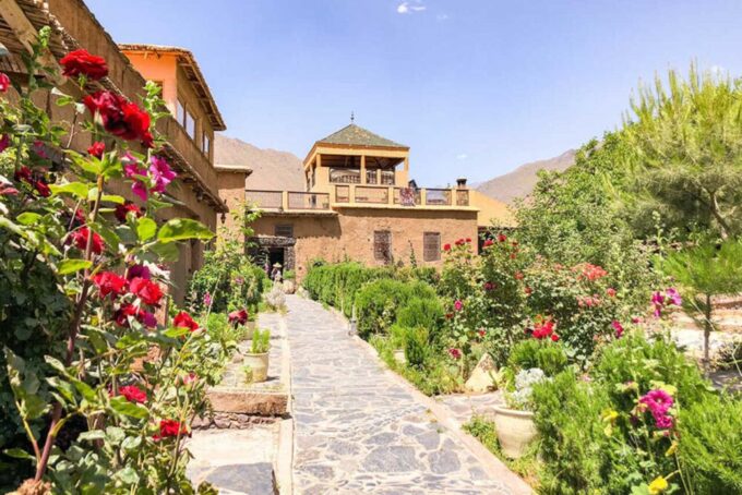 Marrakech: Visit Anima Garden & Atlas Mountains Day Tour - Exploring Anima Gardens
