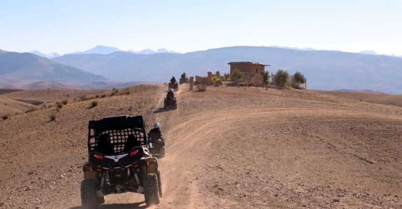 Marrakesh: Agafay Desert Quad & Camel Tour With Dinner - Inclusions