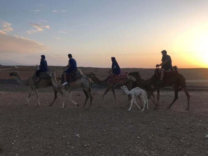 Marrakesh: Agafay Desert Quad & Camel Tour With Dinner - Booking and Cancellation