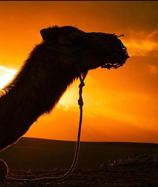 Marrakesh: Agafay Desert Sunset, Camel Ride, and Dinner Show - Itinerary Details