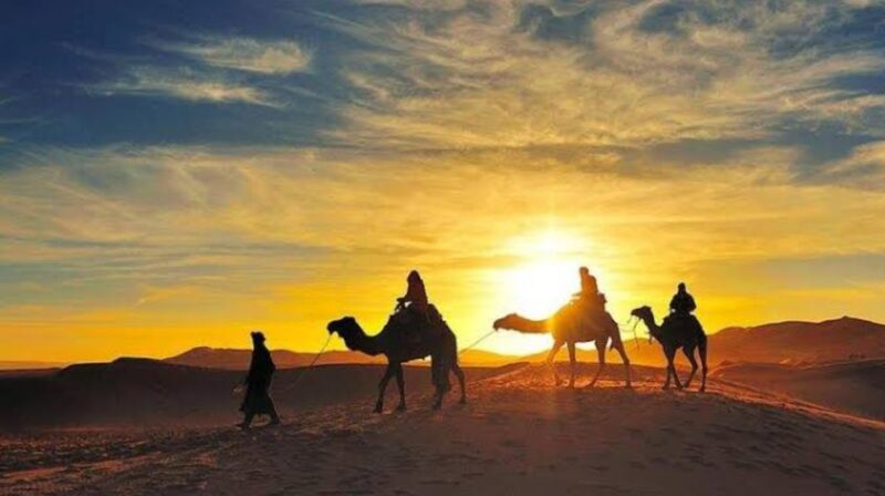 Marrakesh: Agafay Desert Sunset, Camel Ride, and Dinner Show - Customer Feedback