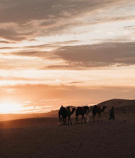 Marrakesh: Agafay Desert Sunset, Camel Ride, and Dinner Show - Authentic Moroccan Dinner