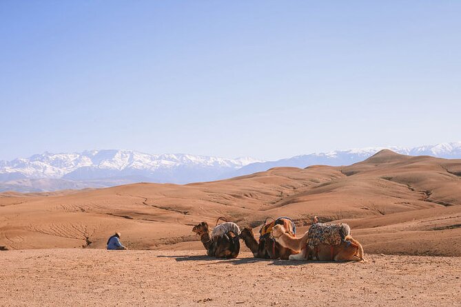 Marrakesh: Agafay Desert Tour With Lunch and Camel Ride - Exploring the Agafay Desert