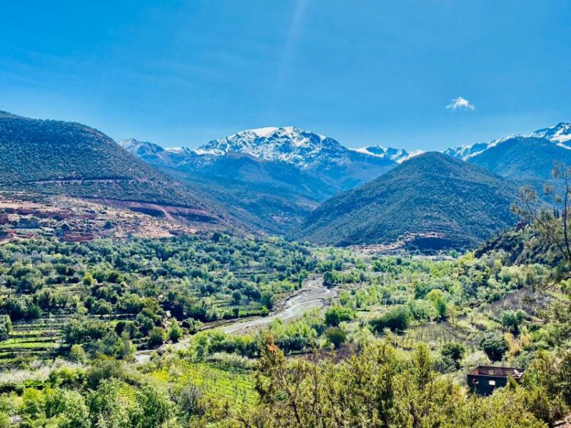 Marrakesh: Atlas Mountains, Three Valleys & Waterfalls Tour - Customer Reviews and Rating