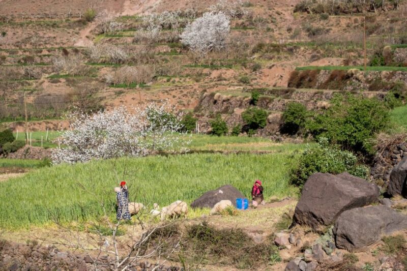 Marrakesh: Berber Villages, Atlas & Green Valleys 4-Day Trek - Trekking Experience