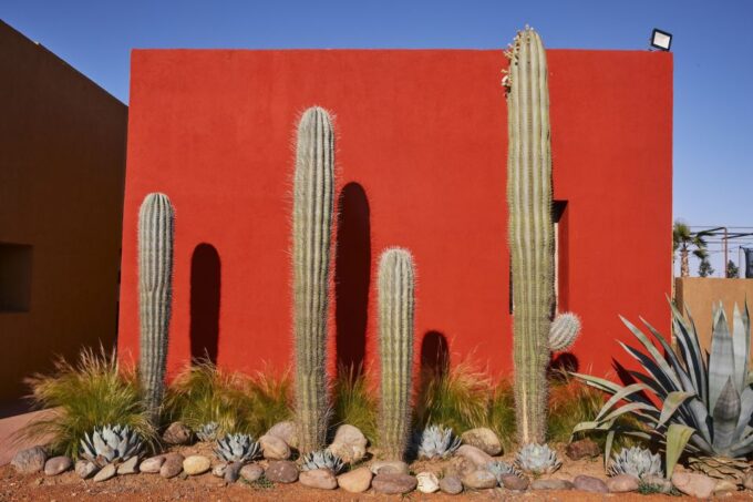 Marrakesh: Cactus Thiemann Entry Ticket - Facilities and Amenities