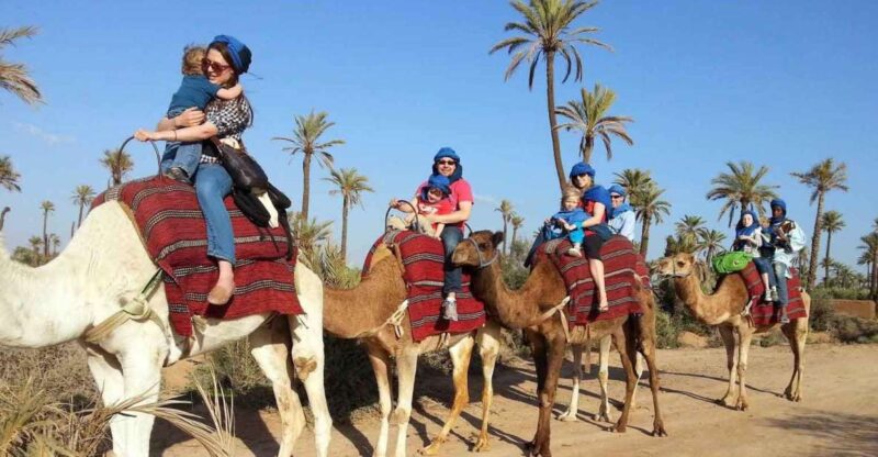 Marrakesh Countryside: 1-Hour Palm Grove Camel Ride - Itinerary