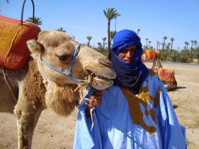 Marrakesh Countryside: 1-Hour Palm Grove Camel Ride - Frequently Asked Questions