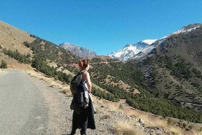 Marrakesh Day Tour to Atlas Mountains - Inclusions