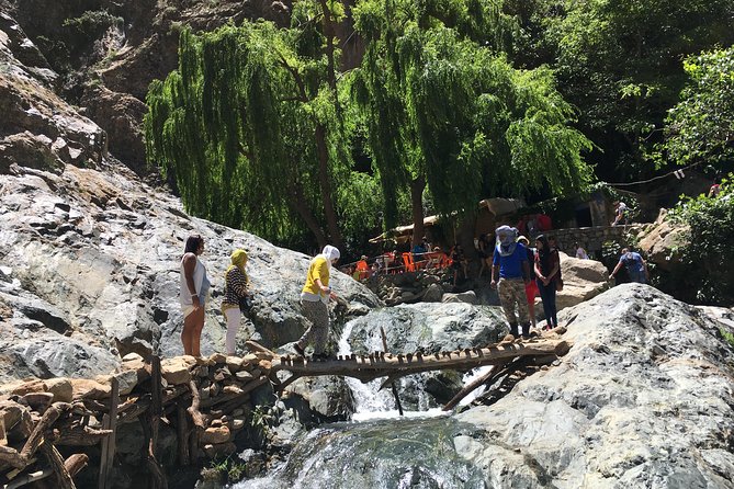 Marrakesh Day Tour to Atlas Mountains - Reviews