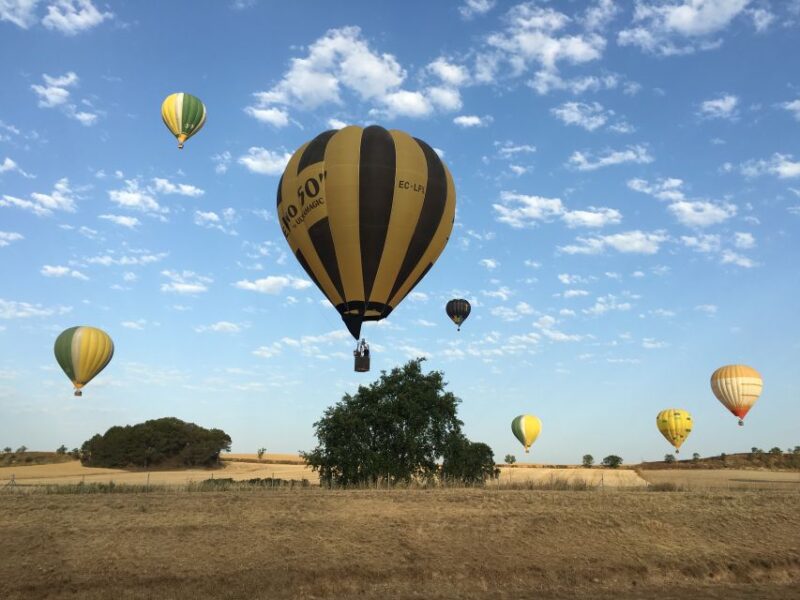 Marrakesh: Early Morning 40-Minute Balloon Flight - Participant Restrictions