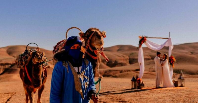Marrakesh: Full-Day Desert and Mountain Tour With Camel Ride - Itinerary and Highlights
