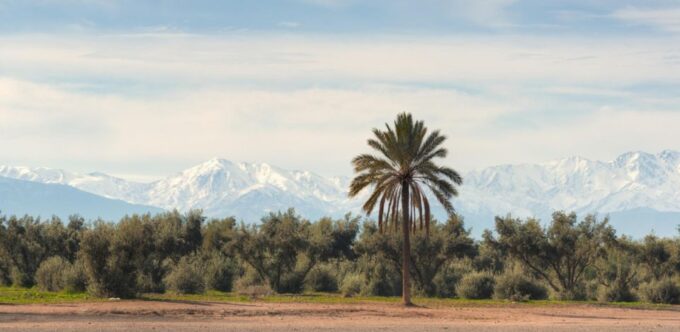 Marrakesh Historical and Cultural Half Day Guided Tour - Frequently Asked Questions