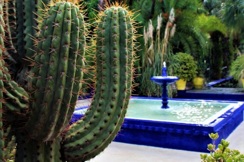 Marrakesh: Majorelle Garden Entry Tickets - Customer Reviews and Ratings