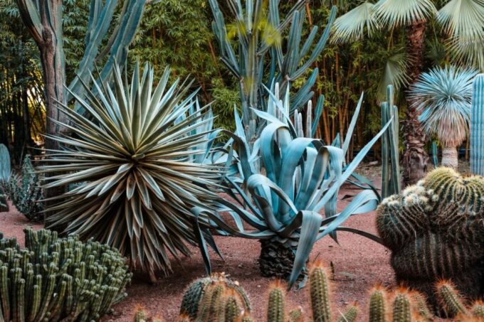 Marrakesh: Majorelle Garden Entry Tickets - Additional Tips for Your Visit