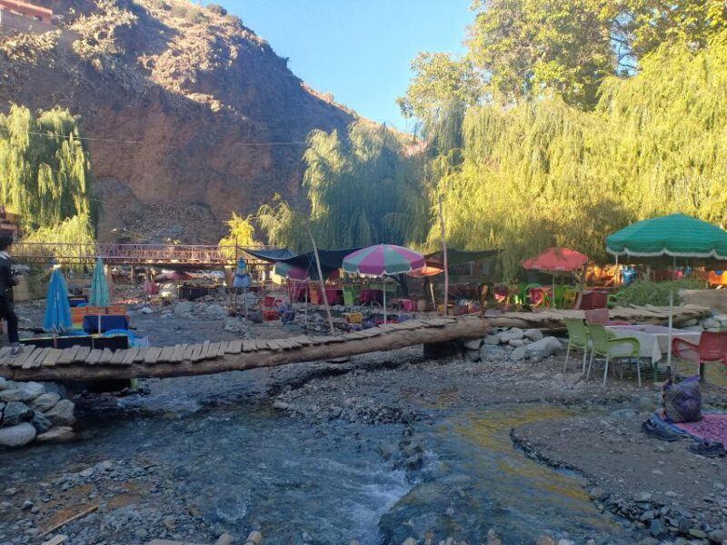 Marrakesh: Ourika Valley and Atlas Mountains Guided Day Trip - Customer Feedback