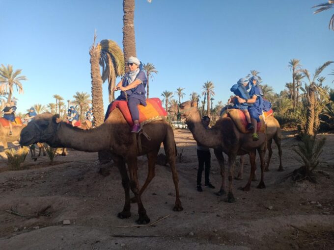 Marrakesh: Ourika Valley and Atlas Mountains Guided Day Trip - Frequently Asked Questions