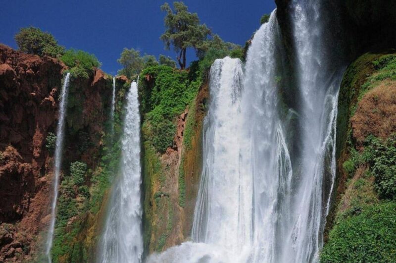 Marrakesh: Ouzoud Falls, Guided Hike, & Optional Boat Ride - Itinerary and Activities