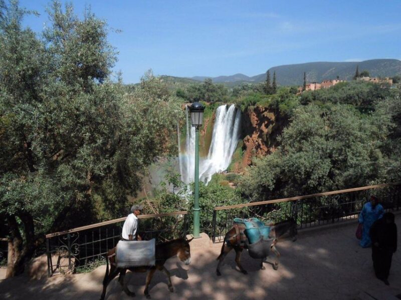Marrakesh: Ouzoud Falls, Guided Hike, & Optional Boat Ride - Cultural Experience and Wildlife