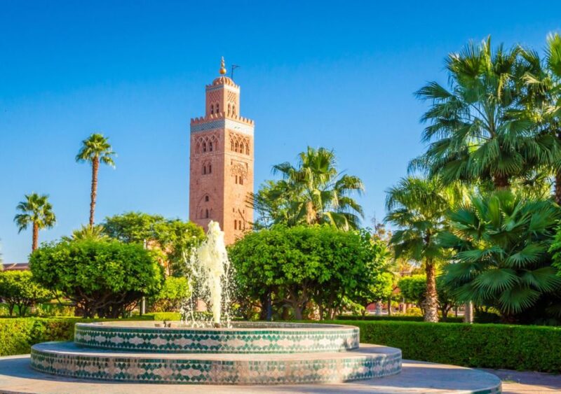 Marrakesh Walking Guided Tour - Meeting Point and Language Options