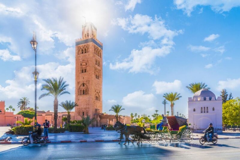 Marrakesh Walking Guided Tour - Transportation Services