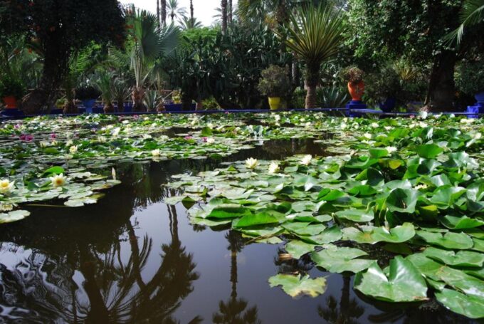 Marrakesh Walking Guided Tour - Booking and Cancellation Policies