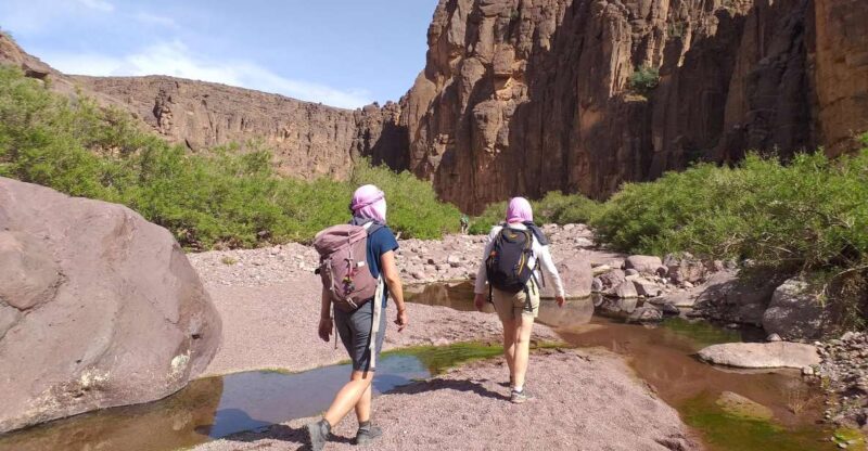 Marrakesh:Agafay Desert Sunset, Camel Ride, Dinner With Show - Key Points