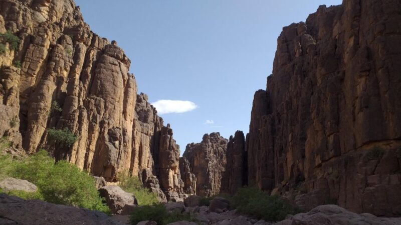Marrakesh:Agafay Desert Sunset, Camel Ride, Dinner With Show - Inclusions at a Glance