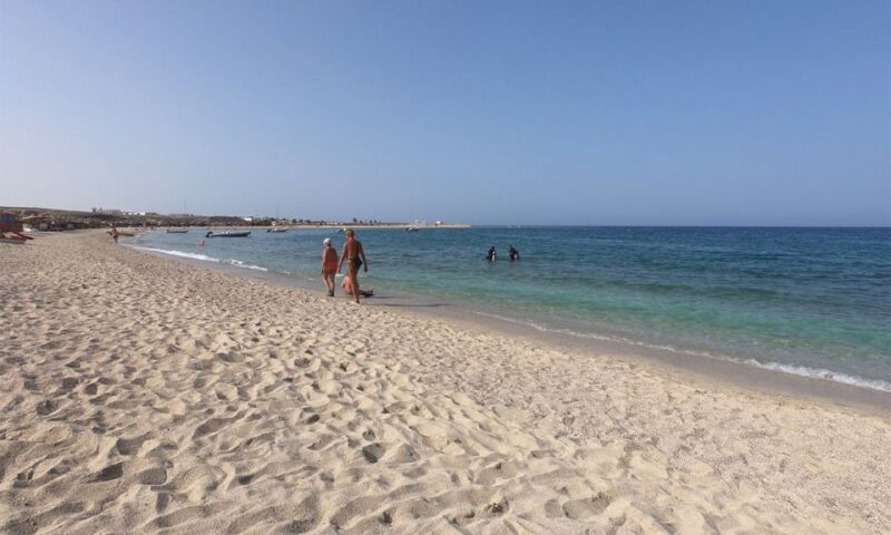 Marsa Alam: Abu Dabbab Snorkeling Tour - Key Points