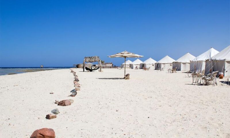 Marsa Alam: Abu Dabbab Snorkeling Tour - Customer Feedback