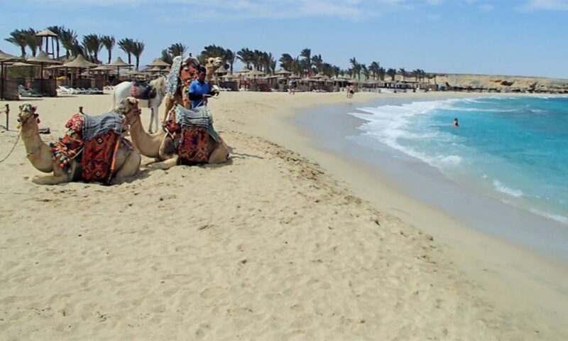 Marsa Alam: Abu Dabbab Snorkeling Tour - Pricing and Duration