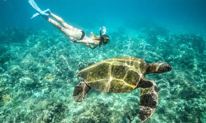 Marsa Alam: Abu Dabbab Snorkeling Tour - Frequently Asked Questions