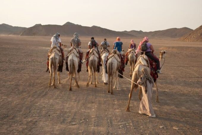 Marsa Alam: ATV Safari, Camel, Sunset, Show, and BBQ Dinner - Tour Guide Languages