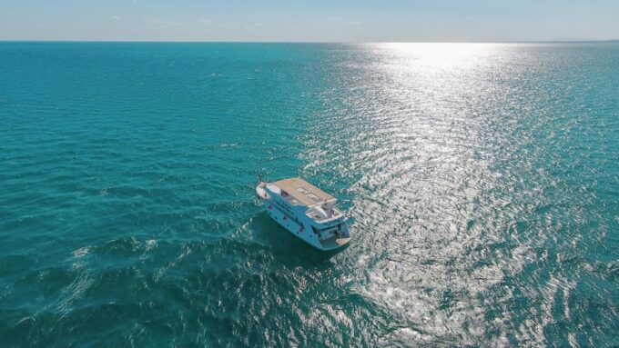 Marsa Alam: Dolphin-Watching Cruise With Snorkeling & Lunch - Customer Ratings and Feedback