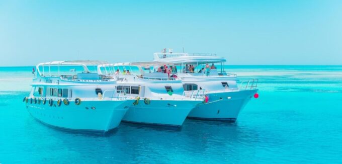 Marsa Alam: Dolphin-Watching Cruise With Snorkeling & Lunch - Frequently Asked Questions