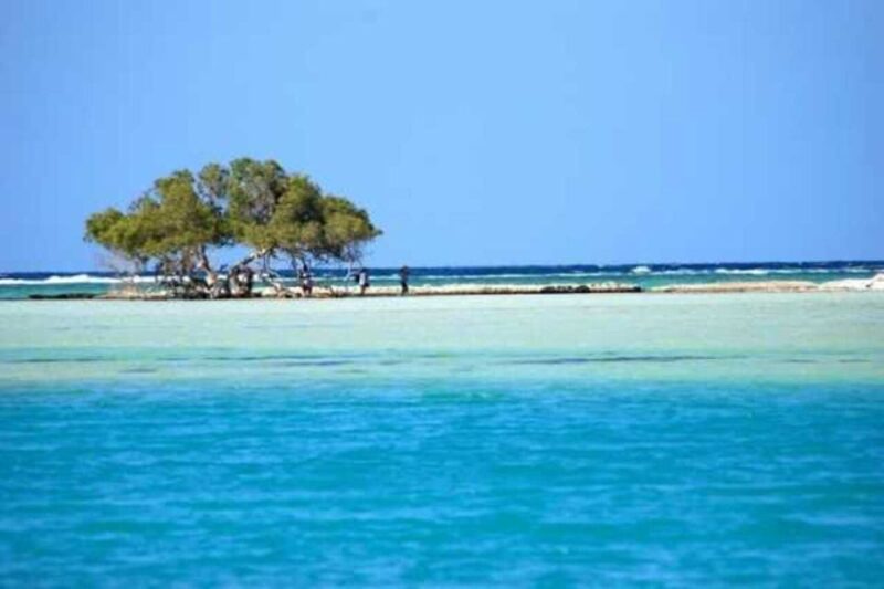 Marsa Alam: Hamata Islands Snorkeling Trip With Lunch - Snorkeling Highlights