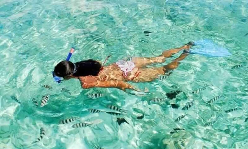 Marsa Alam: Marsa Mubarak and Marsa El Shona Snorkeling Tour - Participant Information