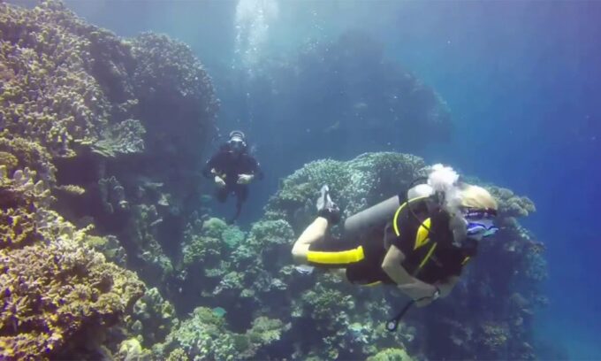 Marsa Alam: Marsa Mubarak and Marsa El Shona Snorkeling Tour - Frequently Asked Questions