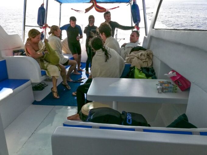 Marsa Alam: Private Snorkeling Trip With Dugong and Turtles - Wildlife Sightings