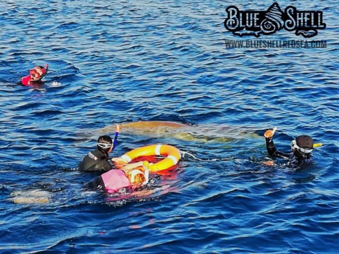 Marsa Alam: Private Snorkeling Trip With Dugong and Turtles - Frequently Asked Questions