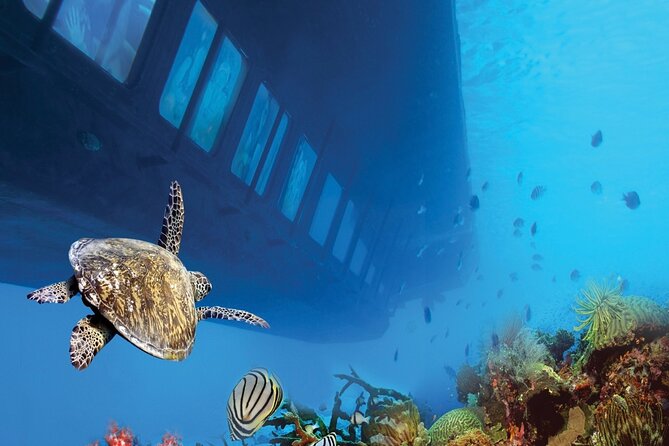 Marsa Alam: Royal Seascope Submarine Cruise With Pickup - Pickup and Transportation Details