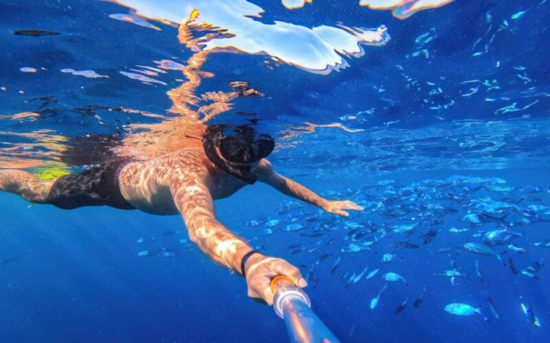 Marsa Alam: Sataya Reefs Dolphin Snorkel Cruise With Lunch - Itinerary Details