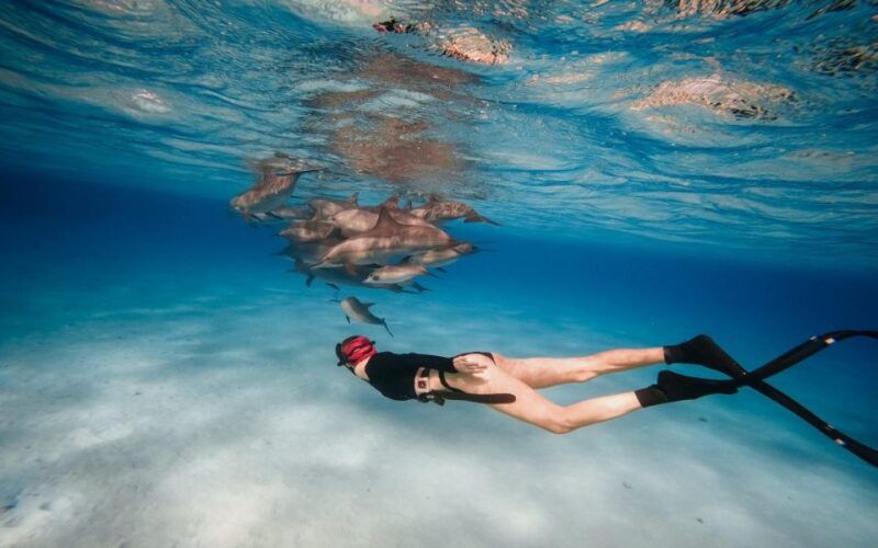 Marsa Alam: Sataya Reefs Dolphin Snorkel Cruise With Lunch - Included in the Tour
