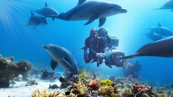 Marsa Alam: Sataya Reefs Dolphin Snorkel Cruise With Lunch - Dining and Refreshments