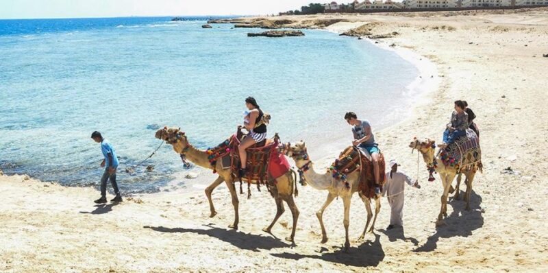 Marsa Alam: Sea and Desert Camel Riding Tour - Booking Information