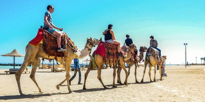Marsa Alam: Sea and Desert Camel Riding Tour - Experience Highlights